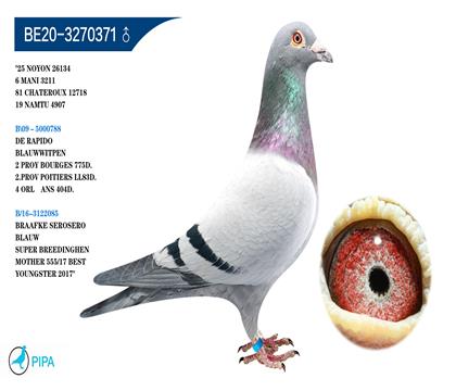 ������.��˹ԭ�� �����ɼ�3211��6λ