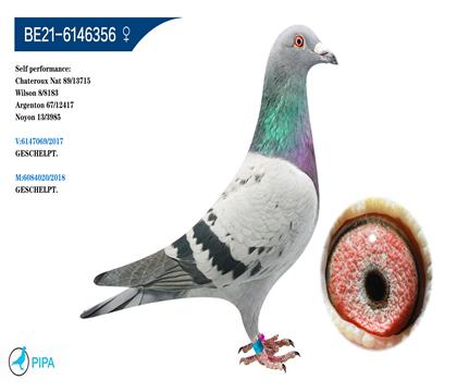 �Ͽ����������� �����ٻ�8183��8λ