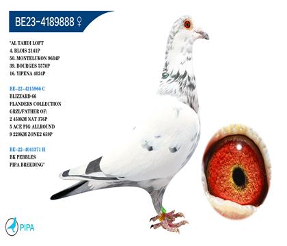 �Ͽ�.���ǲ��ˡ����ض���ѩ���������