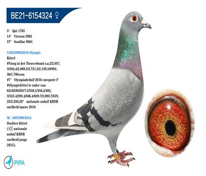 �Ͽ�.���ǲ���ԭ�� �����ɼ�5962��14λ