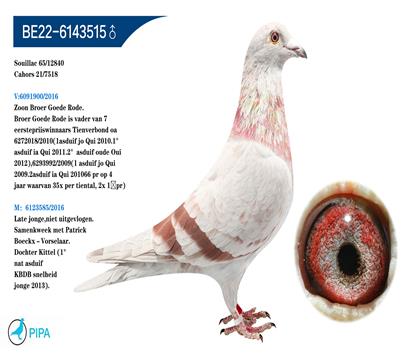 �Ͽ�.���ǲ���ԭ�� �ú��ȫ�ֵ����