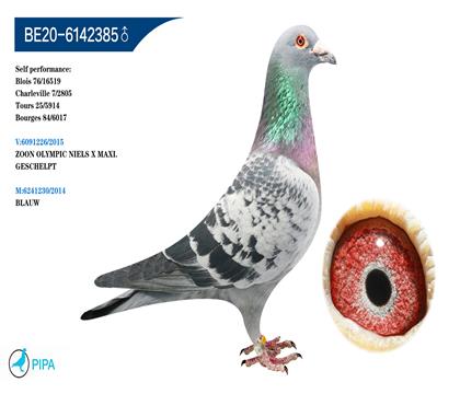 �Ͽˡ������� �����޵������