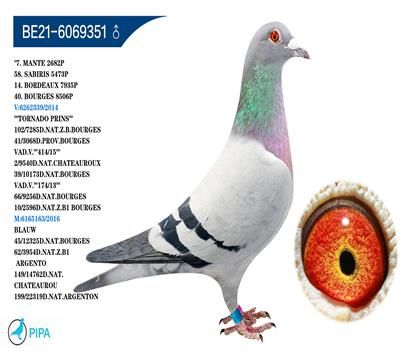 ������-������ԭ�ᡰ������ԡ����