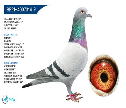 ���׵�.��ϣ�ֵ� �����ٻ�2198��8��