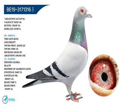 �Ǳ�.�����Ǳ�ԭ�ᡰʨ������X��������櫹�����