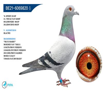 ������ԭ�ᡰ����С�Ӷ��ػ�ѪX������Ů���Ӵ�