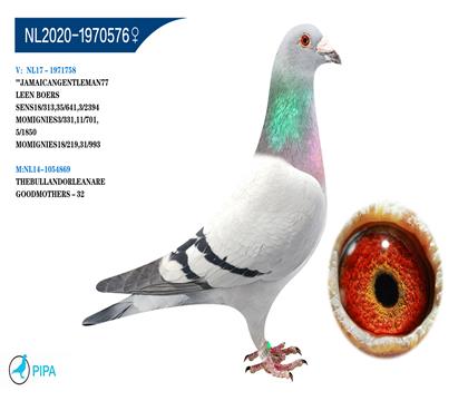 �����ֲ���Ѫϵ �����ɼ���3569��5λ