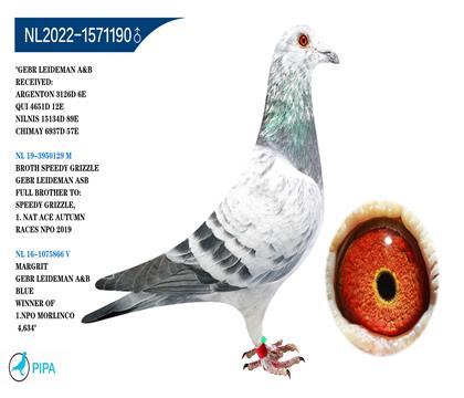 �׵����ֵ� �û������ �����ɼ�3126��6λ