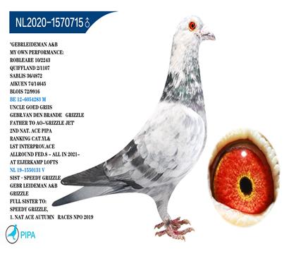 �׵����ֵܡ��û�������� �����ɼ�1107���Ǿ�