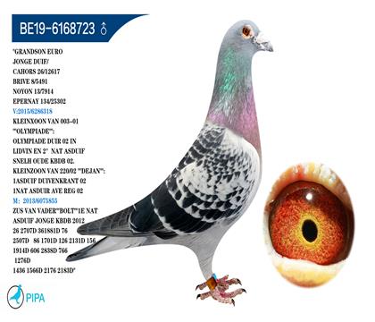 ����-�ն���˹������ƥ���������Ѫϵ