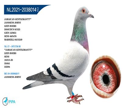 �ֲ���X����.��ɭ˹ �����ɼ�5476��46λ