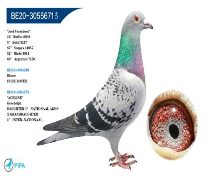 �Ƕ�����˹����ԭ�ᡱ����������� �����ɼ�8902��13λ