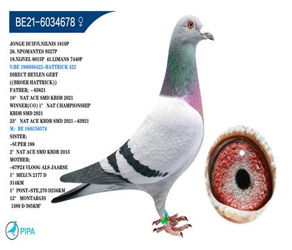 ʷ�ٷ�.����������ñ��Ϸ����Ѫ�� �����ٻ�1810��5λ