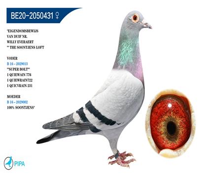 ����.ɣ��ʿѪϵ �����ɼ�7405��10λ