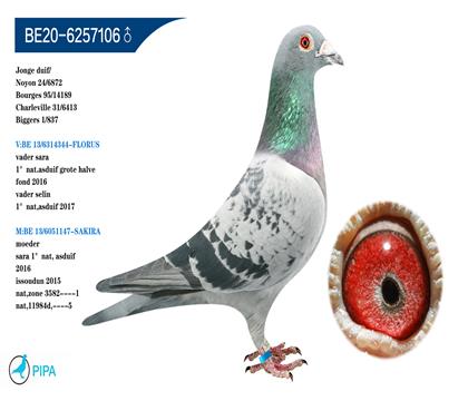 ����������˹ԭ�� �����ɼ�6872��24λ