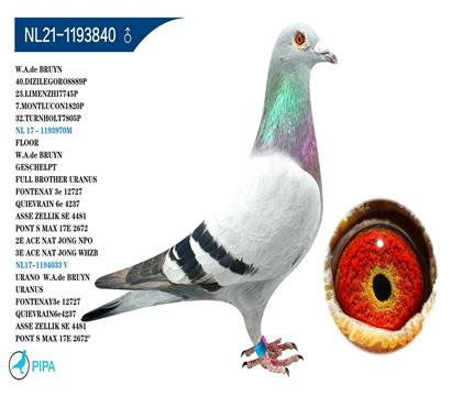 �������ϲ��� ���������X������ŵ��