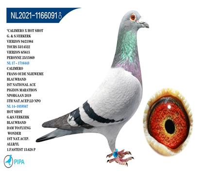 �ֿ˸��ӡ�����������������ɼ�15869��25λ