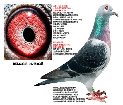 ��ķ.������