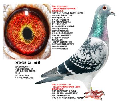 ����ƥ��������