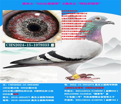 ��ɽ������ �Կ����ͣ��ƹ�����˫�ھ����� ������ѡ