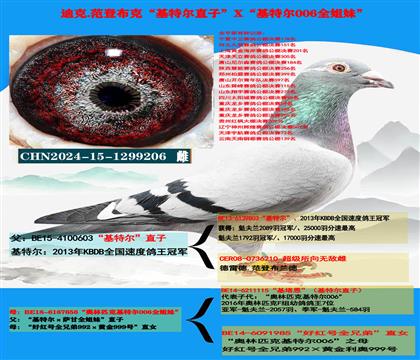 �Ͽ� ���ǲ��ˡ����ض���ֱ��X�����ض�006��ȫ����