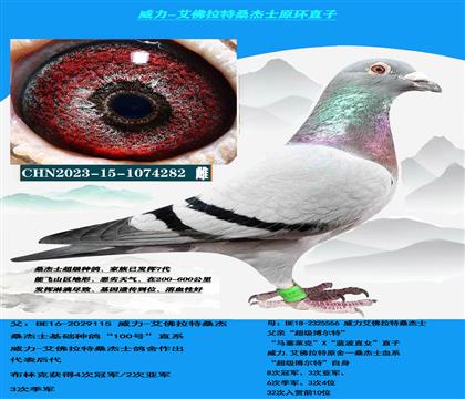 ���������� �Կ����ͣ� ɣ��ʿ����������ָ�