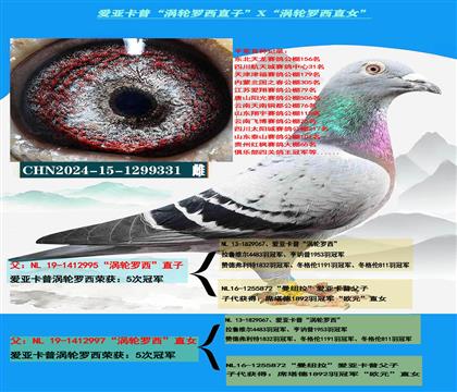 ���ص��Ƽ������ǿ��ա���������ֱ�ӡ�X����������ֱŮ��