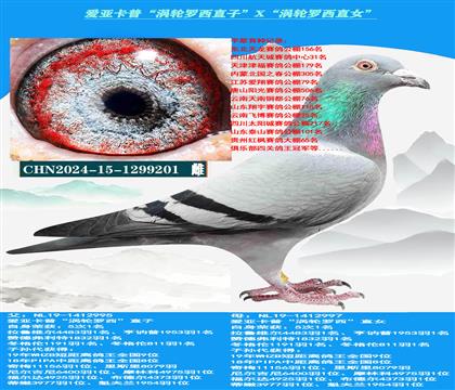 ���ص��Ƽ������ǿ��ա���������ֱ�ӡ�X����������ֱŮ��