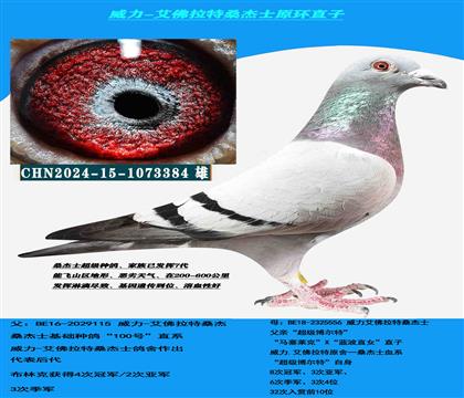 ���������� �Կ����ͣ� ɣ��ʿ����������ָ�