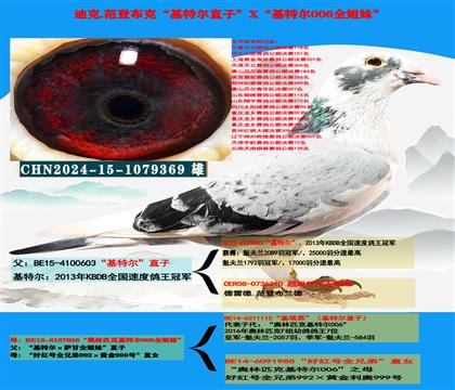 ������ָ룩�����ض���ֱ��X�����ض�006��ȫ����