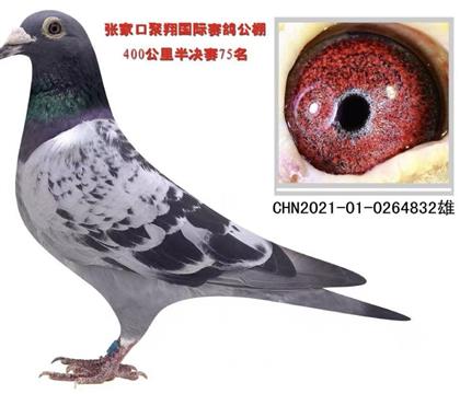 �żҿھ���400����75��