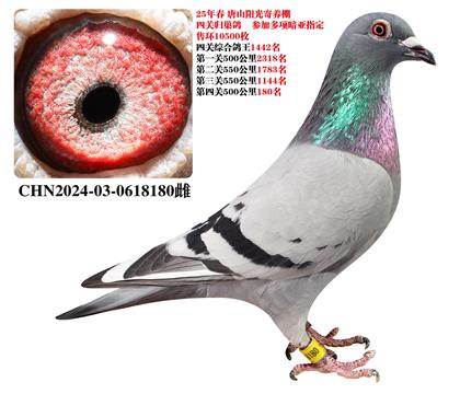 ��ɽ����������ɱ��180����ǧ�����