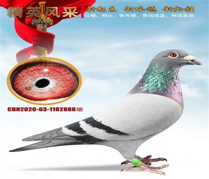 �����ҵ�������ܡ�����12��