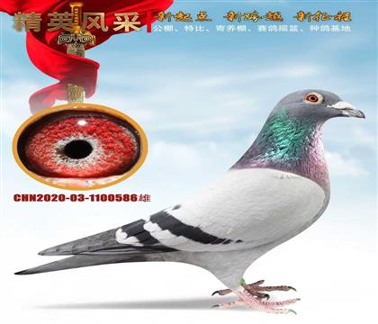 �����4545���׻�Ѫ