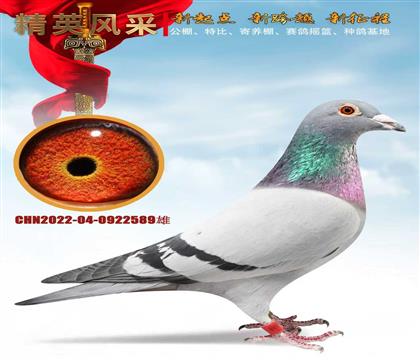 500����22������