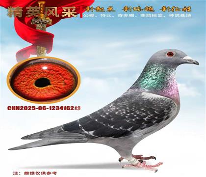 ������¡��Է��������