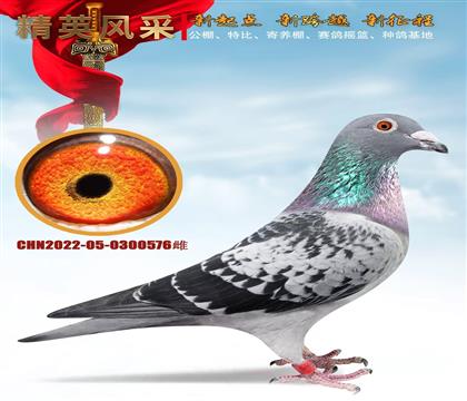 ����С�񡢶��ǰʮ