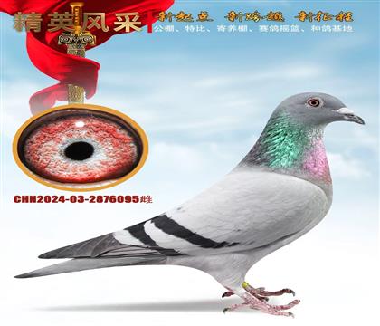 �Ǳ������4545��������