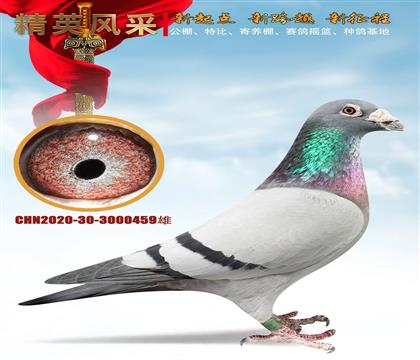 Ҽ�Ÿ��������