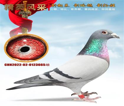 һ���������Դ31��������������