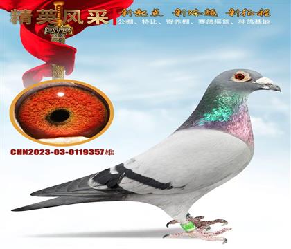 �Ĺظ���46������������