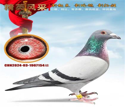 �żҿ����Թ���530����176��