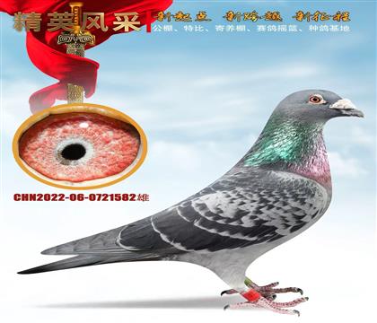 �������ܡ�����