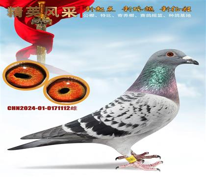 ���۴ơ��λü���