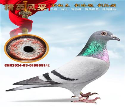 ����������塢ǧ�����