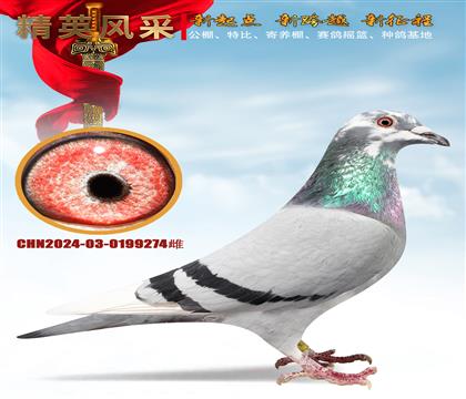 ����ר�߸�����ǧ�����