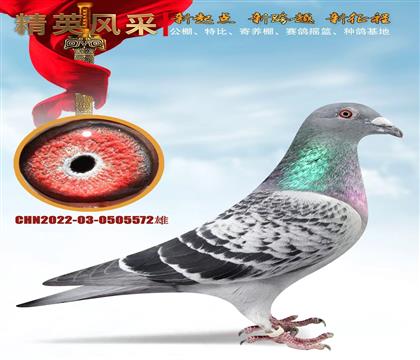 ������ٺš���������