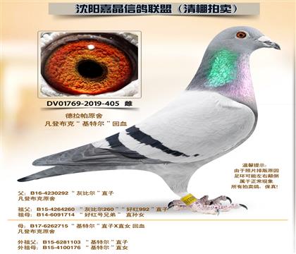 ������ԭ��-�����ض�����Ѫ