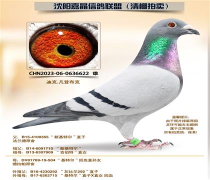 ���ǲ��ˡ����ض�����Ѫ