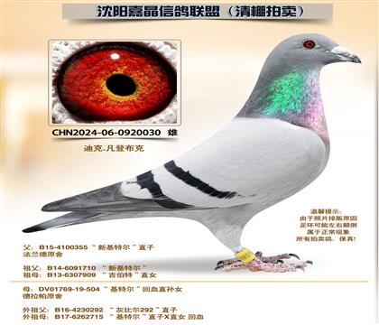 ���ǲ��ˡ����ض�����Ѫ